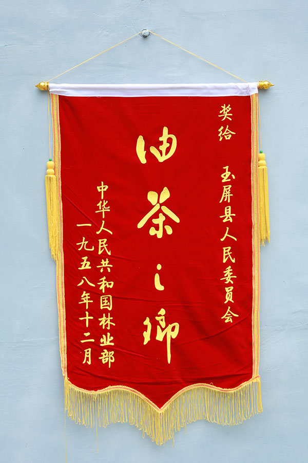 油茶之鄉(xiāng)